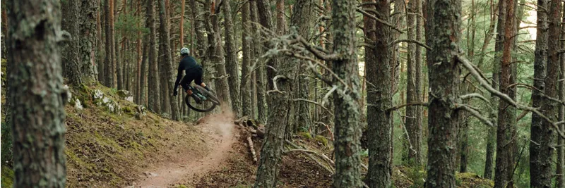 Mountain Biker Riding In Forest
